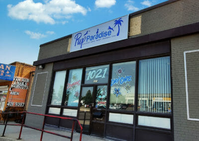 Pup Paradise